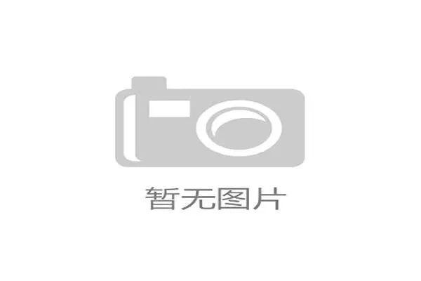 四保一阵容：所有资源喂给一个人，四保一阵容怎么破